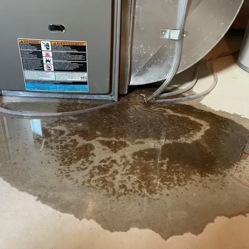 Appliance Leak Cleanup in Hobbs, NM